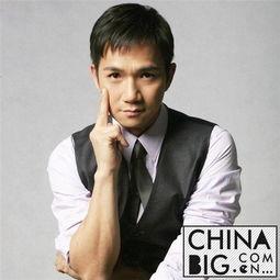 骆达华演过的电视剧,从经典剧集到荧幕传奇